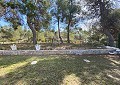 Atemberaubende traditionelle Villa mit 5 Schlafzimmern und 2 Bädern in 140.000 m2 Waldgebiet in Sax in Daft on Spain 