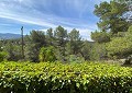 Atemberaubende traditionelle Villa mit 5 Schlafzimmern und 2 Bädern in 140.000 m2 Waldgebiet in Sax in Daft on Spain 