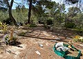 Atemberaubende traditionelle Villa mit 5 Schlafzimmern und 2 Bädern in 140.000 m2 Waldgebiet in Sax in Daft on Spain 