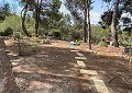 Atemberaubende traditionelle Villa mit 5 Schlafzimmern und 2 Bädern in 140.000 m2 Waldgebiet in Sax in Daft on Spain 