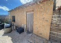 3 Bed Country House with a 2 Bed Annex Apartment plus a 1 Bed Studio in Sax. in Daft on Spain 