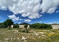 3 Bed Country House with a 2 Bed Annex Apartment plus a 1 Bed Studio in Sax. in Daft on Spain 