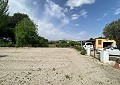 Finca de 4 chambres avec piscine et joli jardin à 10 minutes à pied de la ville de Sax in Daft on Spain 