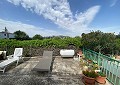 Finca de 4 chambres avec piscine et joli jardin à 10 minutes à pied de la ville de Sax in Daft on Spain 