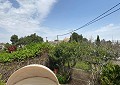 Finca de 4 chambres avec piscine et joli jardin à 10 minutes à pied de la ville de Sax in Daft on Spain 