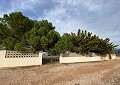 Hermosa finca en Sax, 2 dormitorios, 1 baño con potencial para mucho más. in Daft on Spain 