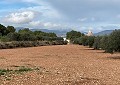 Hermosa finca en Sax, 2 dormitorios, 1 baño con potencial para mucho más. in Daft on Spain 