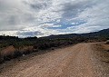 Hermosa finca en Sax, 2 dormitorios, 1 baño con potencial para mucho más. in Daft on Spain 