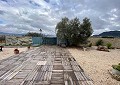 Hermosa finca en Sax, 2 dormitorios, 1 baño con potencial para mucho más. in Daft on Spain 