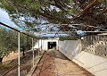 Hermosa finca en Sax, 2 dormitorios, 1 baño con potencial para mucho más. in Daft on Spain 