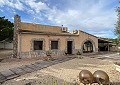 Hermosa finca en Sax, 2 dormitorios, 1 baño con potencial para mucho más. in Daft on Spain 