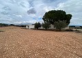 Hermosa finca en Sax, 2 dormitorios, 1 baño con potencial para mucho más. in Daft on Spain 