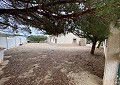 Hermosa finca en Sax, 2 dormitorios, 1 baño con potencial para mucho más. in Daft on Spain 