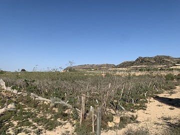 Baugrundstück in der Nähe von Monforte del Cid