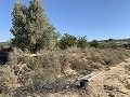 Bouwgrond nabij Monforte del Cid in Daft on Spain 