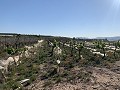 Bouwgrond nabij Monforte del Cid in Daft on Spain 