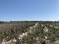 Bouwgrond nabij Monforte del Cid in Daft on Spain 
