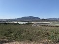 Building Plot near Monforte del Cid in Daft on Spain 