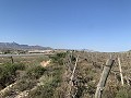Building Plot near Monforte del Cid in Daft on Spain 