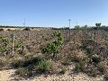 Building Plot near Monforte del Cid in Daft on Spain 