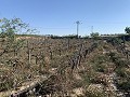Building Plot near Monforte del Cid in Daft on Spain 