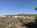 Building Plot near Monforte del Cid in Daft on Spain 
