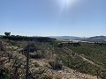 Building Plot near Monforte del Cid in Daft on Spain 