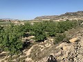 Building Plot near Monforte del Cid in Daft on Spain 