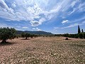 Belle maison de campagne rurale en attente d’un nouveau départ in Daft on Spain 