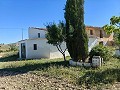 Belle maison de campagne rurale en attente d’un nouveau départ in Daft on Spain 