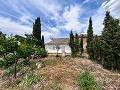 Belle maison de campagne rurale en attente d’un nouveau départ in Daft on Spain 