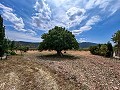 Belle maison de campagne rurale en attente d’un nouveau départ in Daft on Spain 