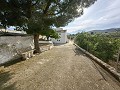 Spacious 230 m² Cave House with Mountain Views Near Pinoso in Daft on Spain 