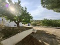 Spacious 230 m² Cave House with Mountain Views Near Pinoso in Daft on Spain 