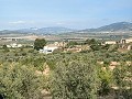 Spacious 230 m² Cave House with Mountain Views Near Pinoso in Daft on Spain 