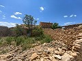 Ruina en Pinoso con suficiente terreno para construir una nueva vivienda in Daft on Spain 