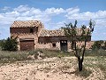 Ruina en Pinoso con suficiente terreno para construir una nueva vivienda in Daft on Spain 