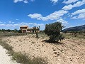Ruina en Pinoso con suficiente terreno para construir una nueva vivienda in Daft on Spain 
