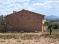 Ruina en Pinoso con suficiente terreno para construir una nueva vivienda in Daft on Spain 