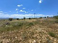 Ruina en Pinoso con suficiente terreno para construir una nueva vivienda in Daft on Spain 