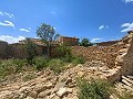 Ruina en Pinoso con suficiente terreno para construir una nueva vivienda in Daft on Spain 