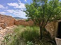 Ruina en Pinoso con suficiente terreno para construir una nueva vivienda in Daft on Spain 