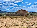 Ruina en Pinoso con suficiente terreno para construir una nueva vivienda in Daft on Spain 