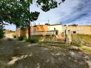 Maravillosa Casa Cueva con Terreno a tan solo 10 minutos de Pinoso