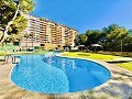 Appartement met 2 slaapkamers in Dehesa De Campoamor in Daft on Spain 
