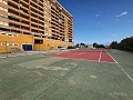 Appartement met 2 slaapkamers in Dehesa De Campoamor in Daft on Spain 