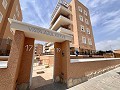 3-Zimmer-Wohnung in Guardamar del Segura in Daft on Spain 