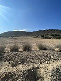 Grand terrain à bâtir dans un endroit magnifique in Daft on Spain 