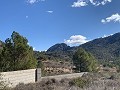 Large plot with an incomplete build in Daft on Spain 