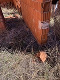 Large plot with an incomplete build in Daft on Spain 